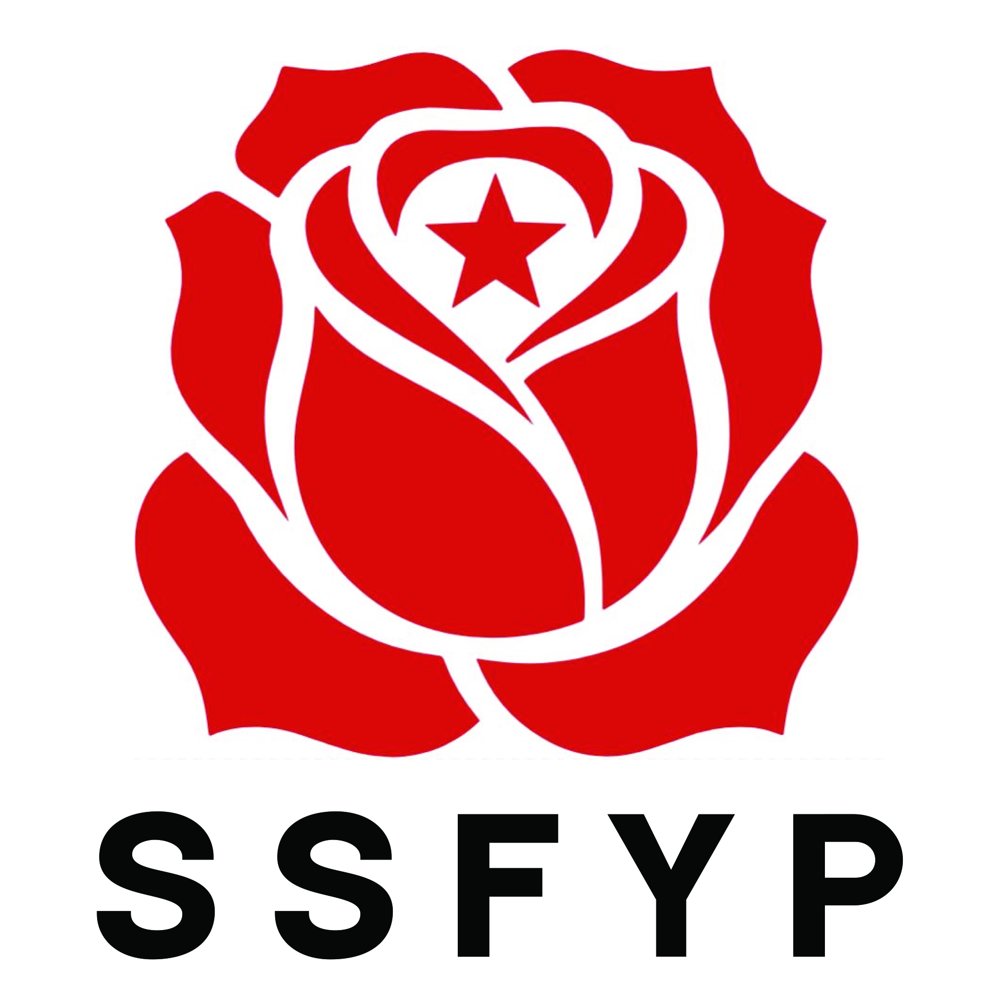Stockport Socialists For Your Party (SSFYP) shows what the new party could be!